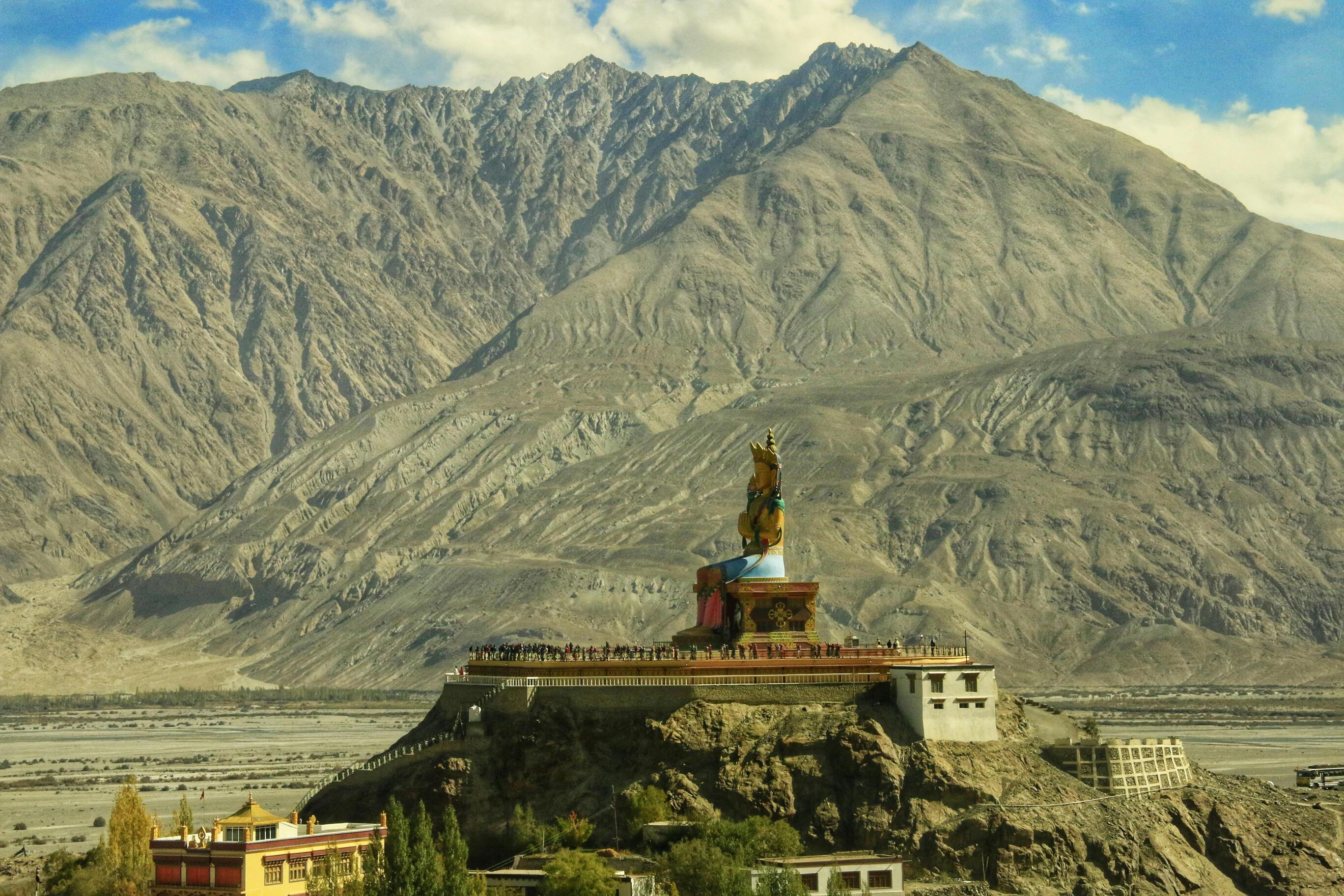 Nubra Valley Camels